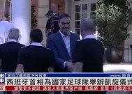 爱游戏-居住在日本的西班牙球迷为国家队欧洲之旅加油的简单介绍