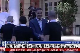 爱游戏-居住在日本的西班牙球迷为国家队欧洲之旅加油的简单介绍